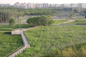 Revitalization of wetlands/rivers to balance the urban water cycle
